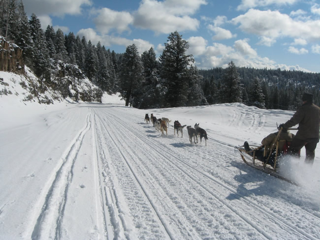 /pictures/Yellowstone Winter Trip/IMG_5066.jpg